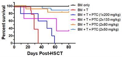 Use of Post-transplant Cyclophosphamide Treatment to Build a Tolerance Platform to Prevent Liquid and Solid Organ Allograft Rejection